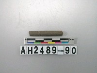 藏品(磨製石針)的圖片